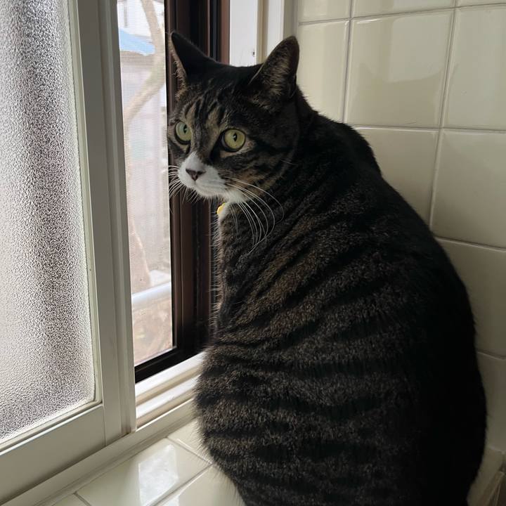 Ab4ec63f e426 4605 bf29 8f1b17f3ef38 1760916837203