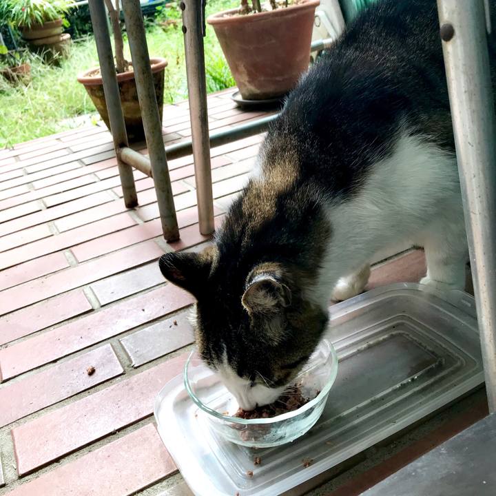 Ab4ed2a0 9eea 4ed1 87c8 2873d55c0f4f 1539702164620