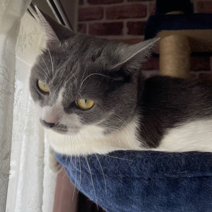 Ab4f0b84 3e7e 4a80 b952 f43d5de9975a 1663373734599