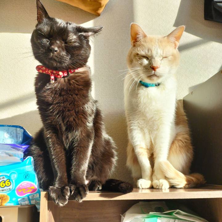 Ab4f1ac3 9d9a 493d bf18 bb00a9539be9 1674864102306