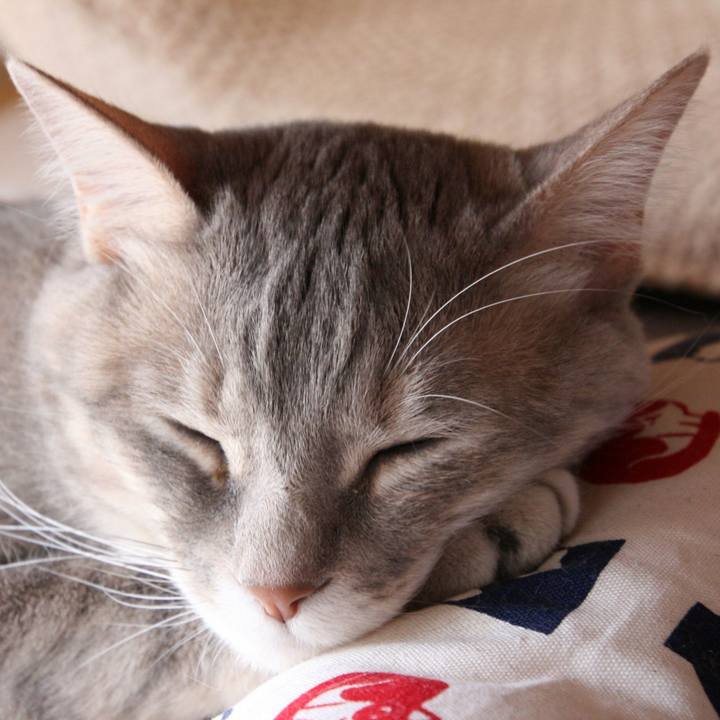 Ab4f59d2 f2ce 4810 9a93 db685958b485 1524901350253