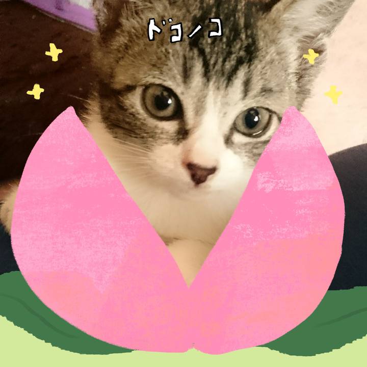 Ab4f5f7e a832 4f80 bed7 799d3edd6d7f 1772198121654