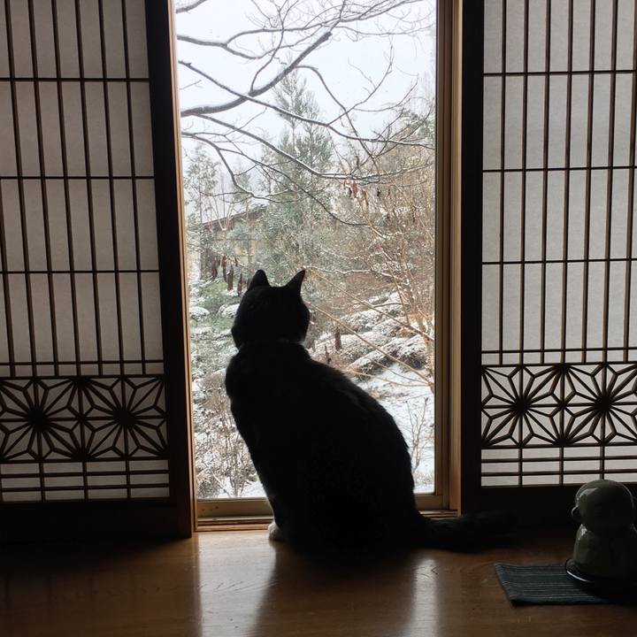 Ab4f9f21 02f4 42bb a195 56bc0fe032e1 1517180207721