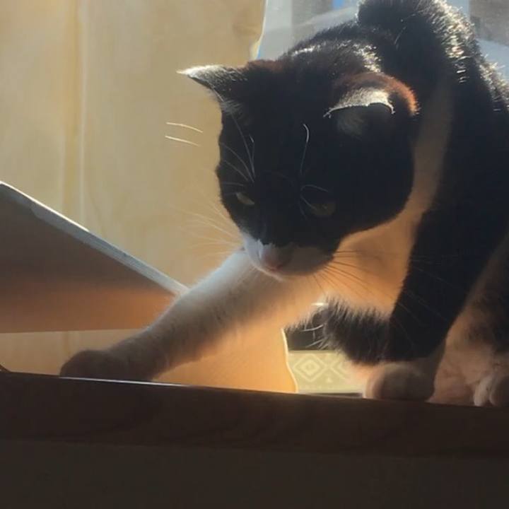 Ab4fda09 f8cb 41e9 911a 5f88533e91c3 1584337020424