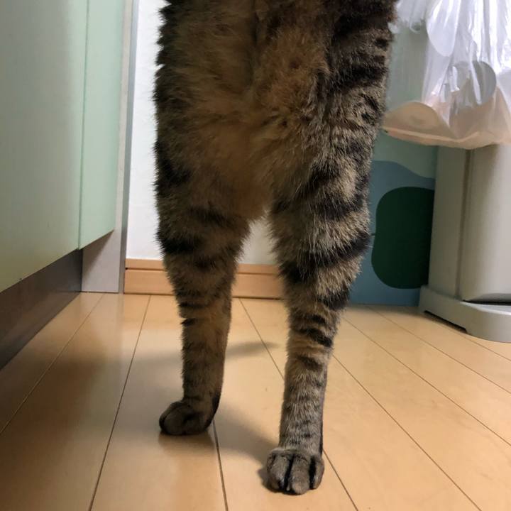 Ab4fe262 2d92 4273 9261 db8e4114862d 1567258466552