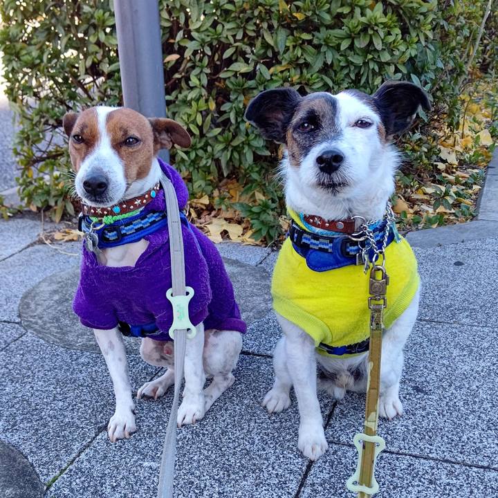 Ab501241 b721 4552 8610 1f4314c1a801 1639785505173