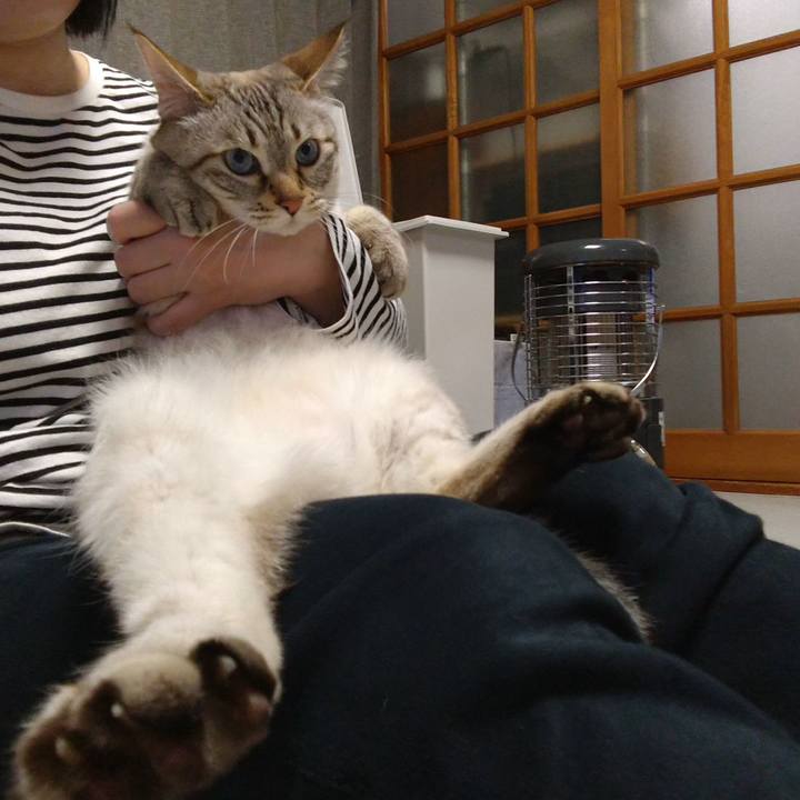 Ab503e9e cc86 4b67 ad37 372a2fd1fa86 1710673198256