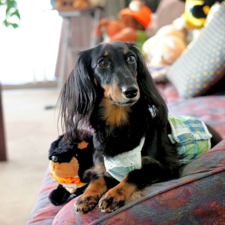 Ab505627 69a2 426c b609 63949da95dfc 1534482256947