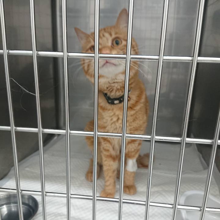 Ab505f51 992e 4e74 9d5b fb980081c5f9 1653816609409