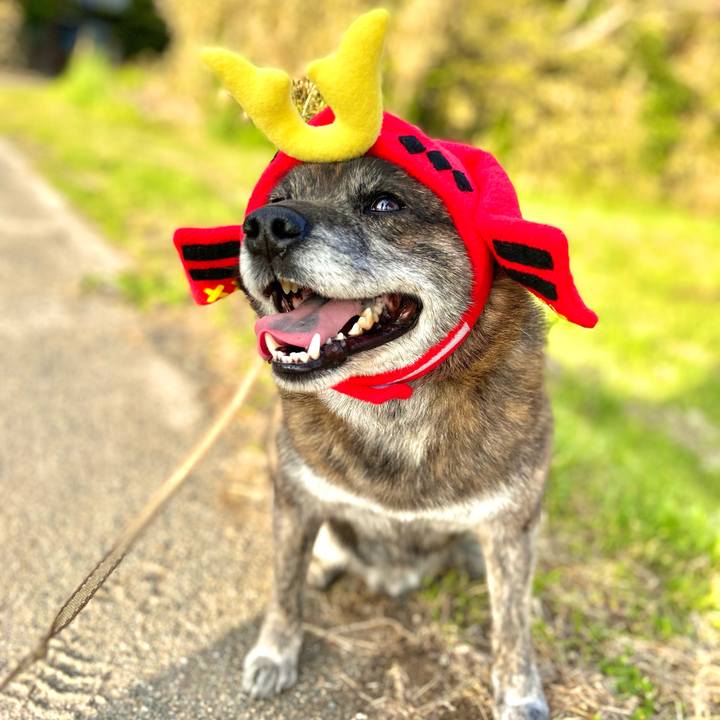 Ab50cfbb 782f 4ee2 9871 c62e16b991b8 1620398750375