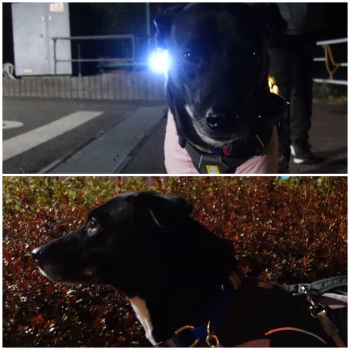 Ab50f184 024b 4b6a 9391 5081acbdf3f7 1644402472093