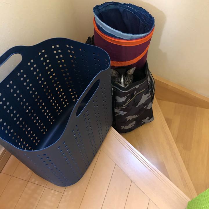 Ab510a0e 74d1 466d a04c 01c14ac2ac3e 1547928178556