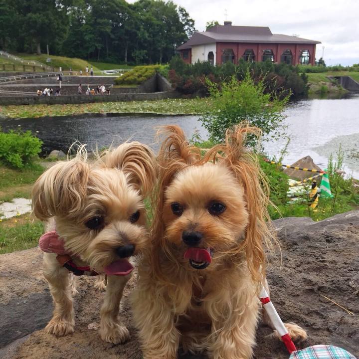 Ab513b4b d3c2 445d aa0f c4bada863fca 1532945881677