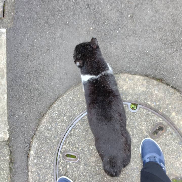 Ab51435f cdbf 4e4d b01b 668b340db01c 1700781725196