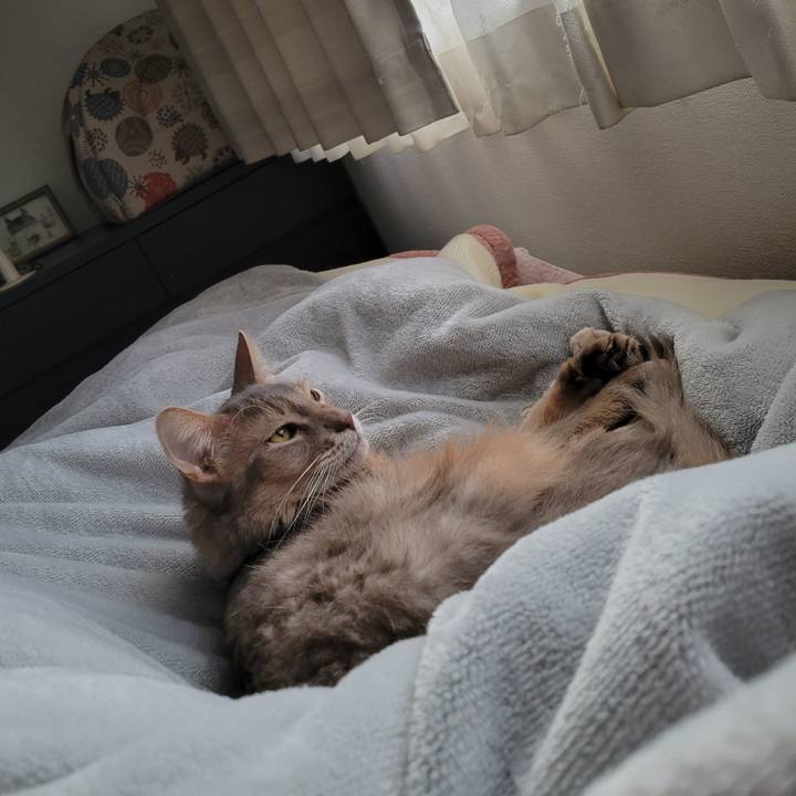 Ab519a87 008a 42c8 8e21 9483f6e4edb9 1675126675362