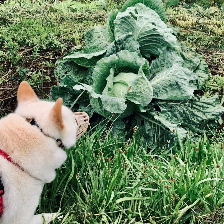 Ab51a201 4866 4489 8026 e665fd430847 1566768591677