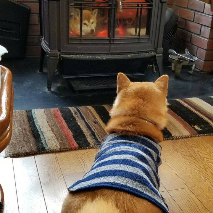 Ab51ec94 ab23 4e6c 96bc 9c42b7294bd0 1515056749290