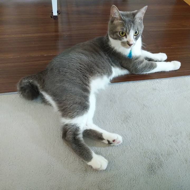 Ab51efbf bd33 4064 99e5 096608782006 1593208579368