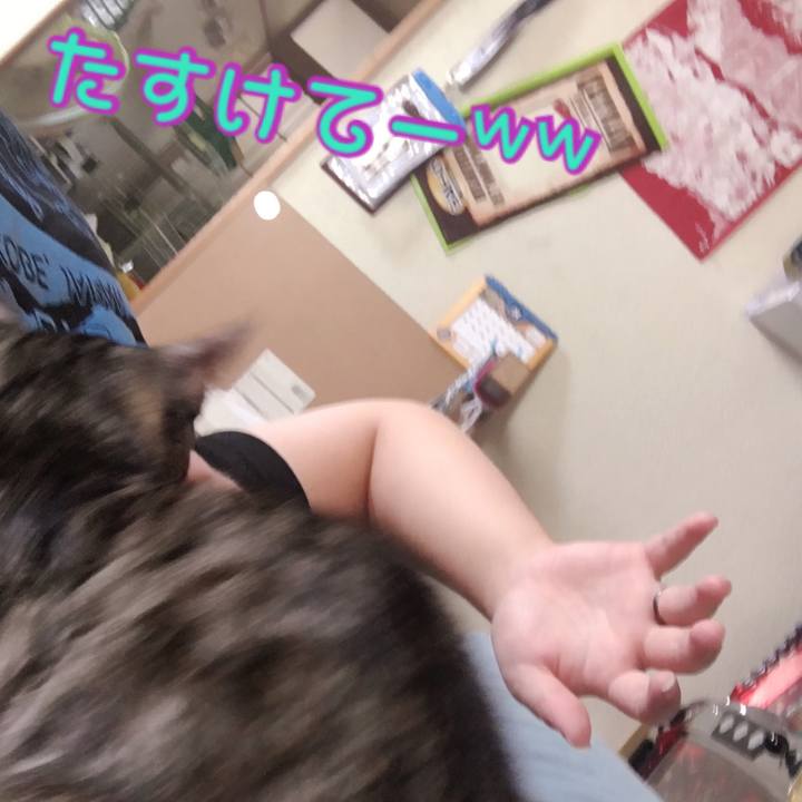 Ab521320 6988 424c a39a 68b9ed3bde9a 1538542470857