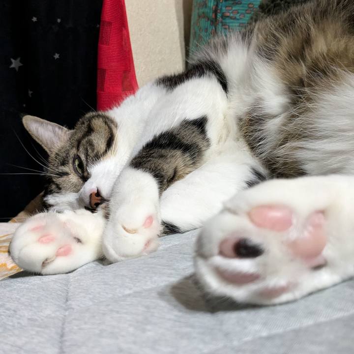 Ab521905 4d4f 4ae9 b119 916cb39b5f4a 1728905191585