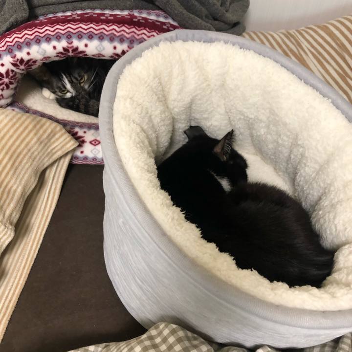 Ab5225c2 12a9 4729 870b 248b814d6d4a 1577518973449