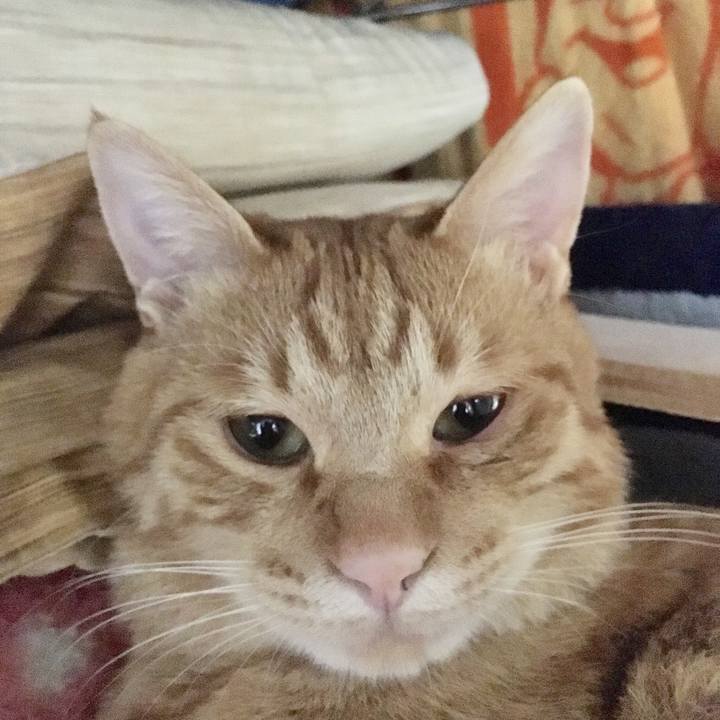 Ab5239b2 2531 4760 a91d e874f5301a2f 1521081127824