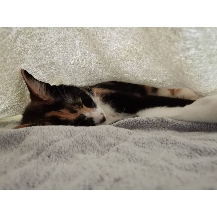 Ab524f94 f053 47cb aa28 e079cee43fbd 1633493800632