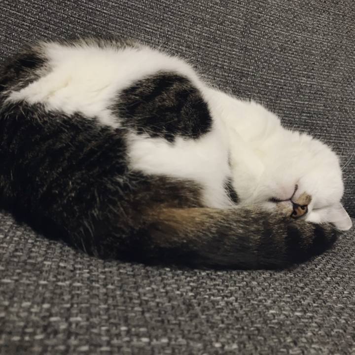 Ab5269e8 dbd8 4b64 91a9 ff6da9e340ab 1556948848267