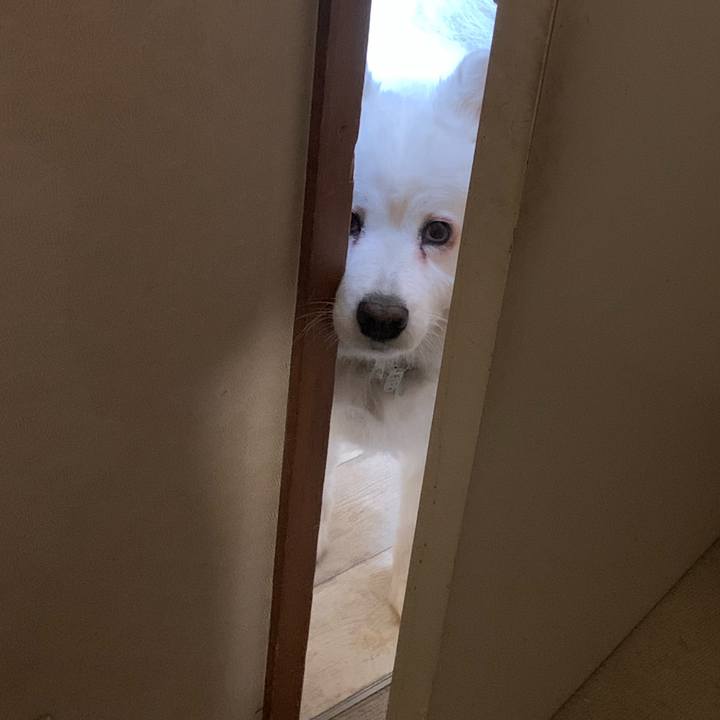 Ab526e5f a5d4 4f37 8275 71cefc0b7552 1637376579380