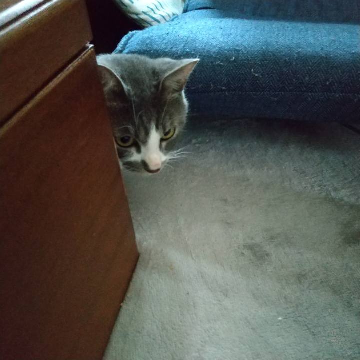 Ab529f79 6447 4daa 81c6 38e229b6ade1 1598223444213