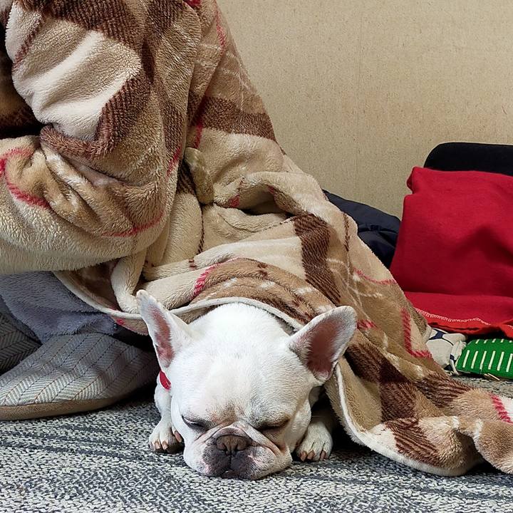 Ab52a0ac de9f 427a 9227 bb30177dfc0b 1644532256380