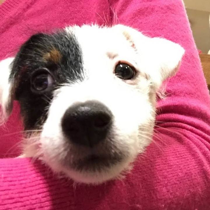 Ab52b913 ddb9 4f8b abdc ca5516bac1b9 1675860626993