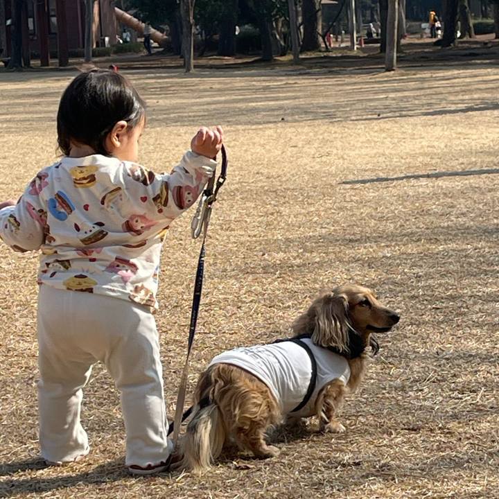 Ab52daf9 34da 4185 96e2 d17cd4206fea 1771120115930