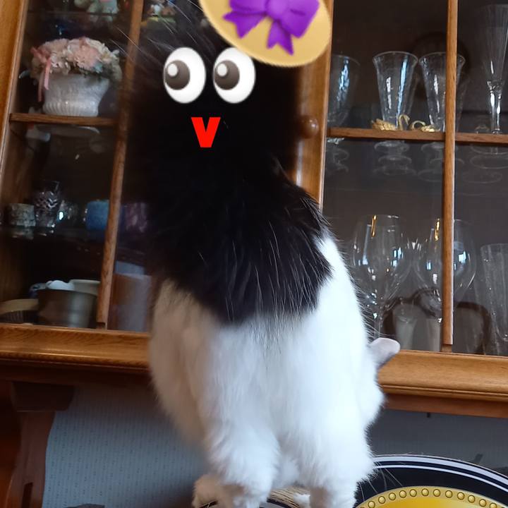 Ab5379c6 0c62 4144 aee6 fce944e1a090 1650237698479