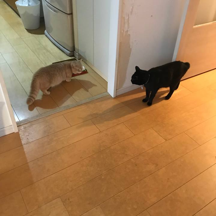 Ab538c91 9cd8 4619 ad77 0c62af45bf07 1521471079041