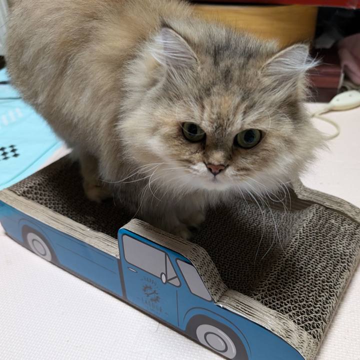 Ab53940c 3080 4b0b 91c4 3abc4ddc176c 1727520753766