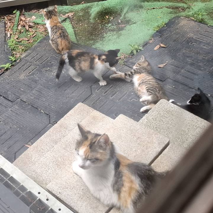 Ab5395b0 92a9 492d 879f d19709814cd0 1749791869809