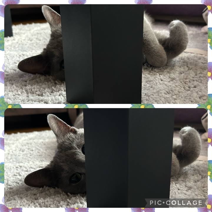 Ab53c814 801d 4206 9fe7 365c42155f83 1692513595849