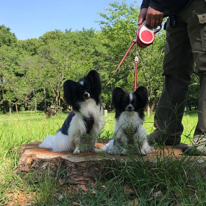 Ab53d5d9 fb7a 47ba 89a1 2f8945476f66 1526003763909