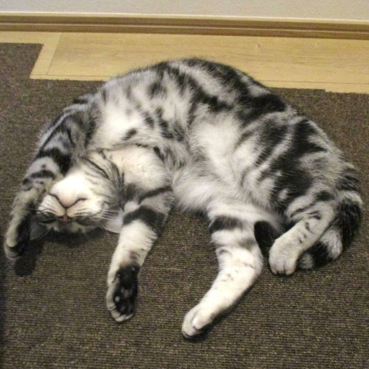 Ab53eb4e 9f09 4e26 b94d fb26b8bdd5b1 1572400726450