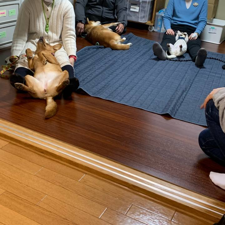 Ab53f029 8f46 455e 893b 7509ec16811f 1579400361044