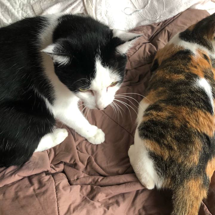 Ab541759 9a55 4b2d 80a1 c370ffa7c3a4 1599965252345