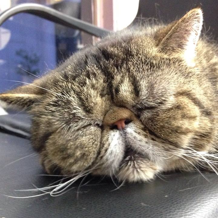 Ab542443 ffa3 4382 86d5 f3d36e9d107e 1511571584022