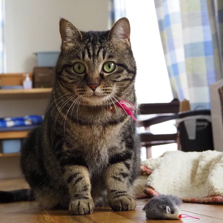 Ab54284f 2a23 4745 a062 1dbe2e245d33 1616829664792