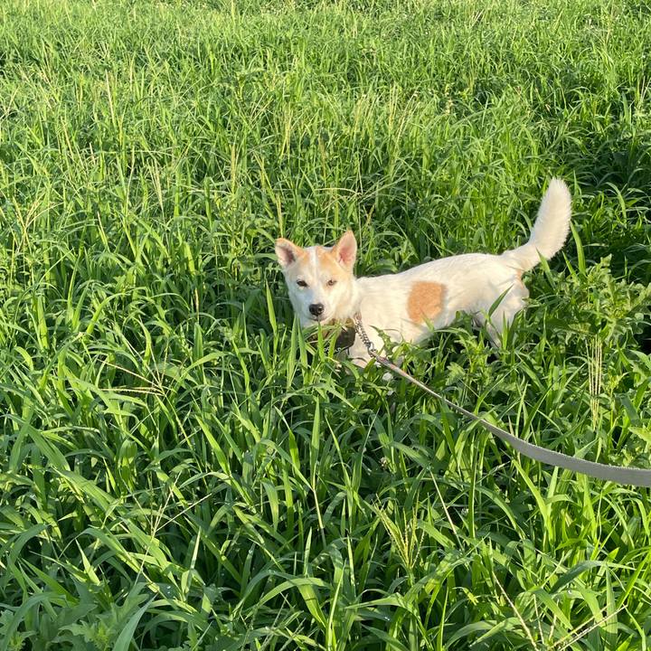 Ab549304 7a42 4b29 929a 5e6031cd320e 1722777929155