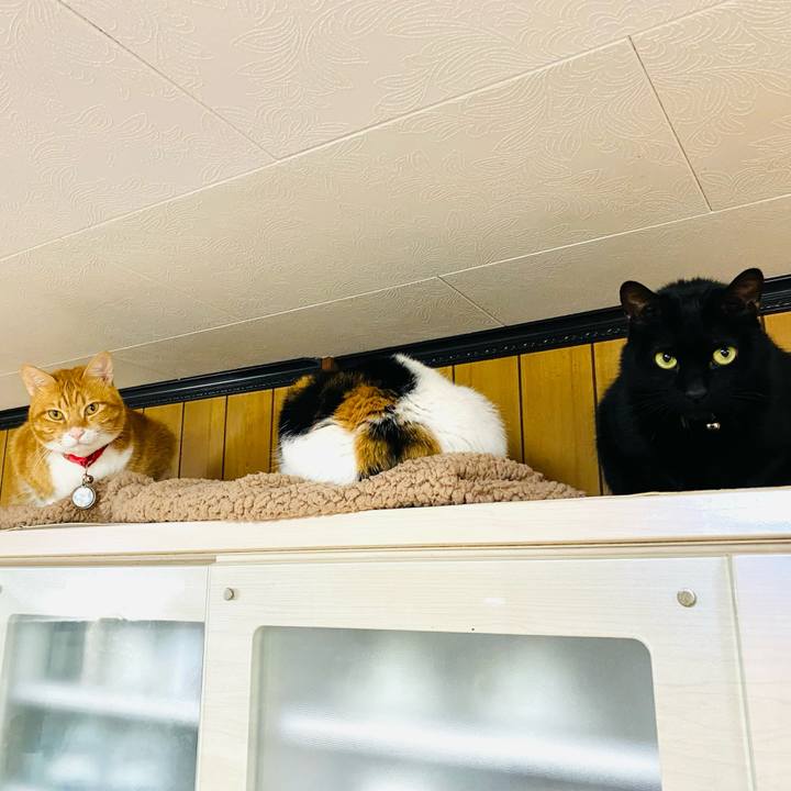 Ab549a7e 378d 422a a158 2b4a52caacc2 1699918217027