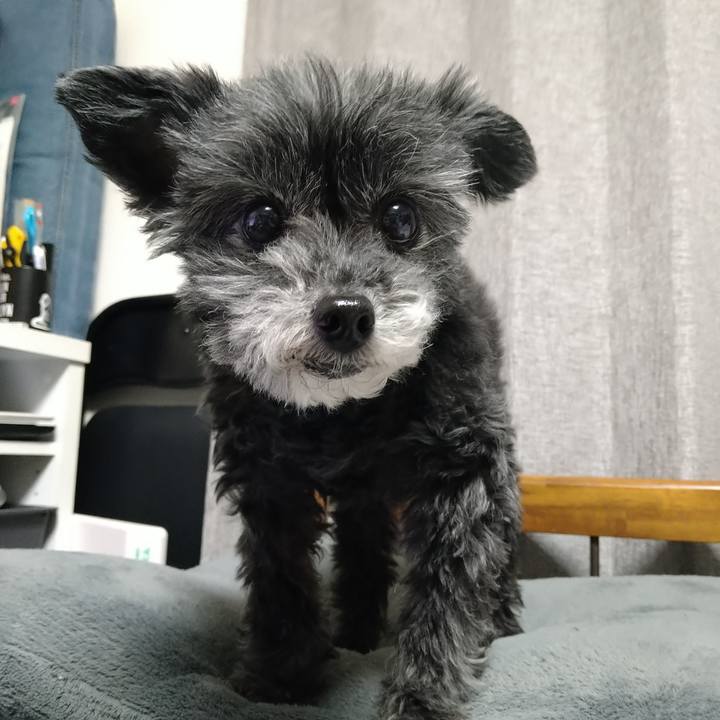 Ab54bb5a e1b6 4064 9a86 3c063e8d315f 1742555525756