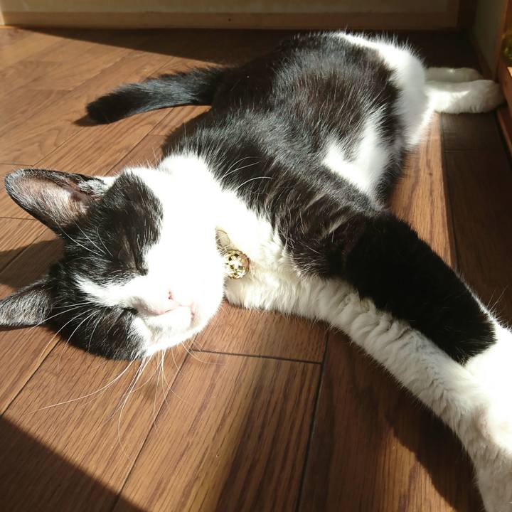 Ab5501d1 e187 4937 9d1b d9931e4e2299 1595372881932