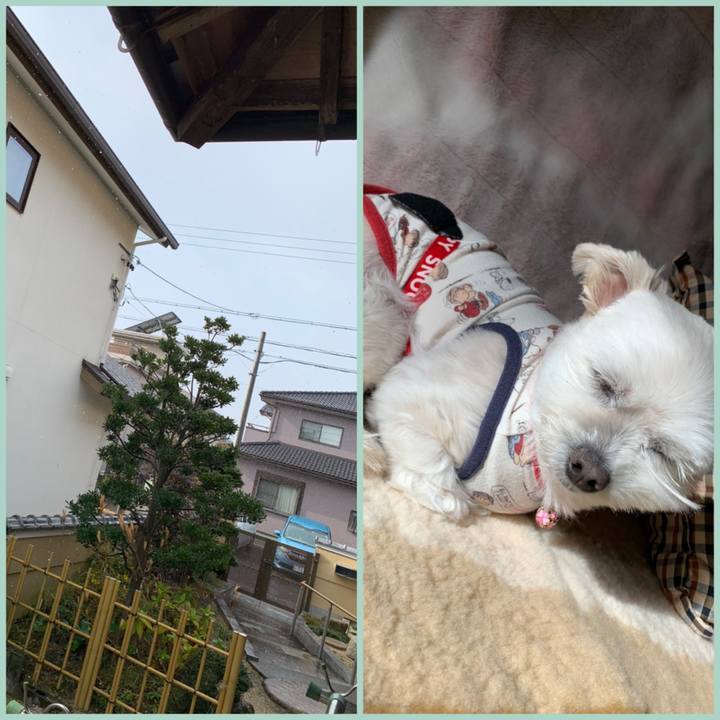 Ab550f60 a7b9 428f b418 c7ff133385b1 1640482828444