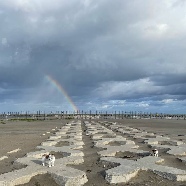 Ab5559c9 99da 495d 8027 5e8891be9337 1758407544290